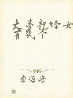 大梦龙吟女主角有几个