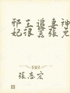 邪王追妻神医狂妃很嚣张免费阅读