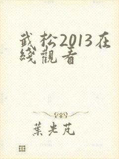 武松2013在线观看