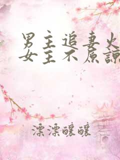 男主追妻火葬场女主不原谅