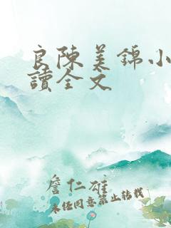良陈美锦小说阅读全文