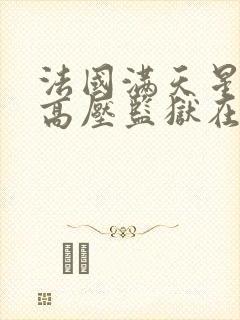 法国满天星电影高压监狱在线观看