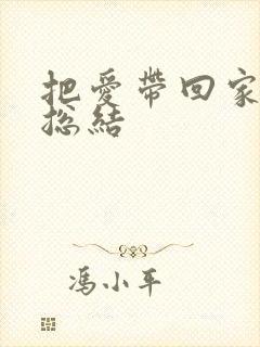 把爱带回家活动总结