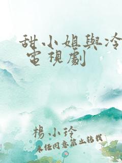 甜小姐与冷先生 电视剧
