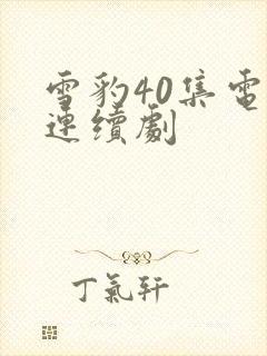 雪豹40集电视连续剧