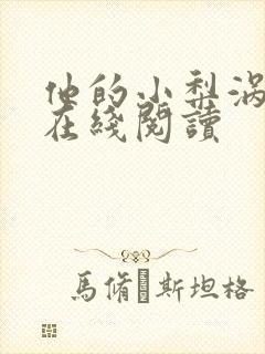 他的小梨涡小说在线阅读