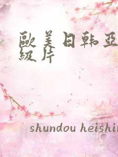 欧美日韩亚洲一级片