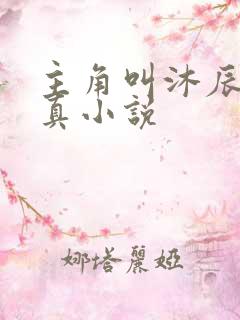 主角叫沐辰的修真小说
