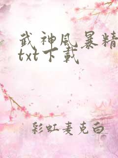 武神风暴精校版txt下载