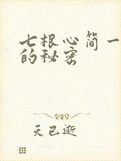 七根心简一万三的秘密