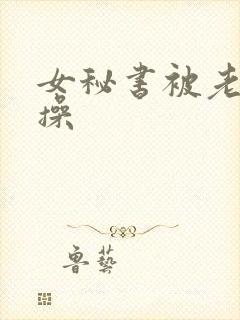 女秘书被老板狂操