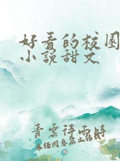 好看的校园言情小说甜文