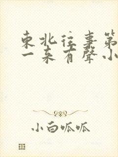东北往事第2部一来有声小说