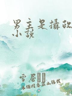 男主是摄政王的小说