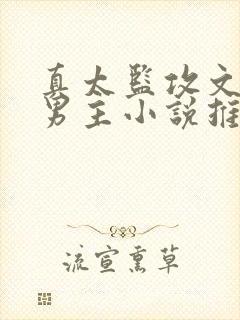 真太监攻文,双男主小说推荐