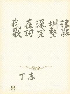 我在深圳很想你歌词完整版