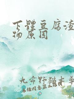 下体豆腐渣分泌物原因