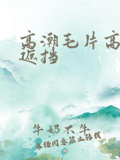 高潮毛片高清无遮挡