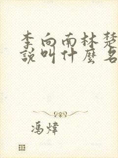 李向南林楚乔小说叫什么名字