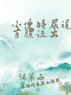 小便时尿道刺痛有脓流出