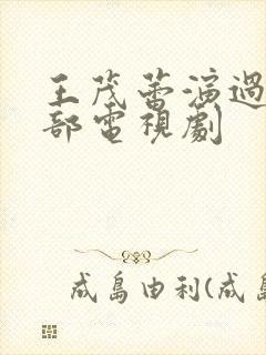 王茂蕾演过的全部电视剧