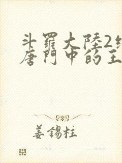 斗罗大陆2绝世唐门中的王冬