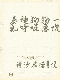 泰迪狗狗一直喘气呼吸急促