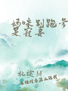 妈咪别跑爹地他是宠妻