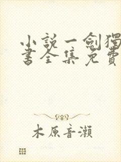 小说一剑独尊听书全集免费