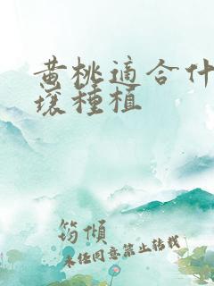 黄桃适合什么土壤种植