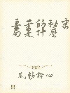 妻子的秘密大结局是什么