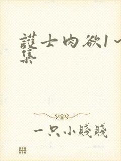 护士肉欲1～8集