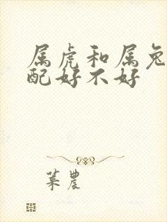属虎和属兔的婚配好不好