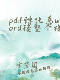 pdf转化为word后整个格式都乱了