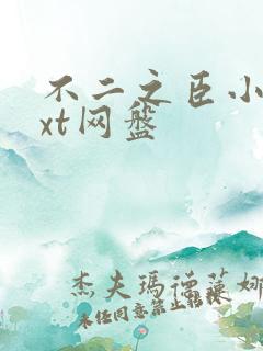 不二之臣小说txt网盘