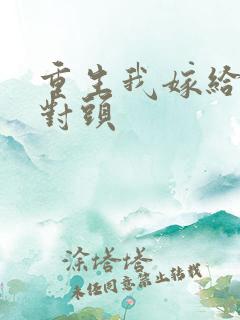 重生我嫁给了死对头
