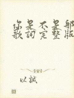 你是不是那个人歌词完整版