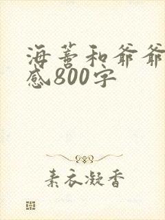 海蒂和爷爷观后感800字
