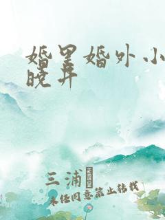 婚里婚外小说叶晓井