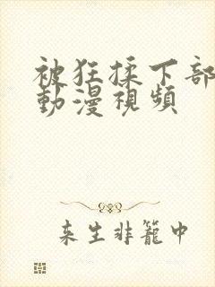 被狂揉下部羞羞动漫视频