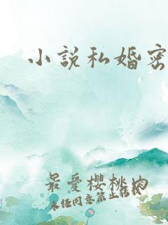 小说私婚密爱