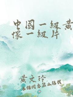 中国一级黄色录像一级片