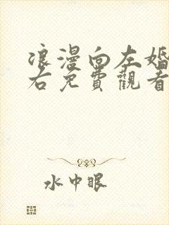 浪漫向左婚姻往右免费观看