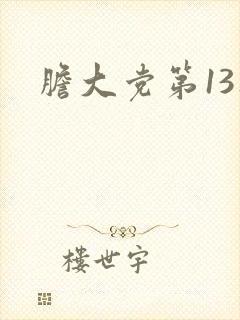 胆大党第13集