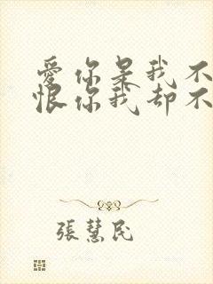 爱你是我不小心恨你我却不忍心是什么歌