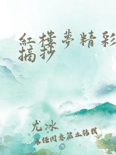 红楼梦精彩句段摘抄