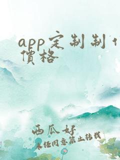 app定制制作价格