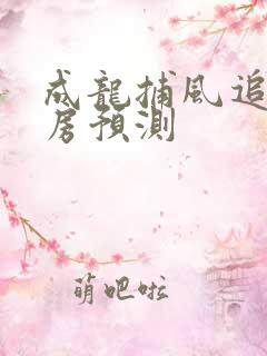 成龙捕风追影票房预测