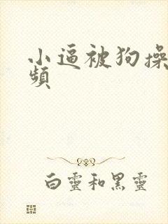 小逼被狗操了视频