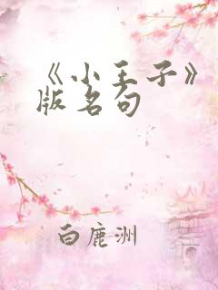 《小王子》英文版名句